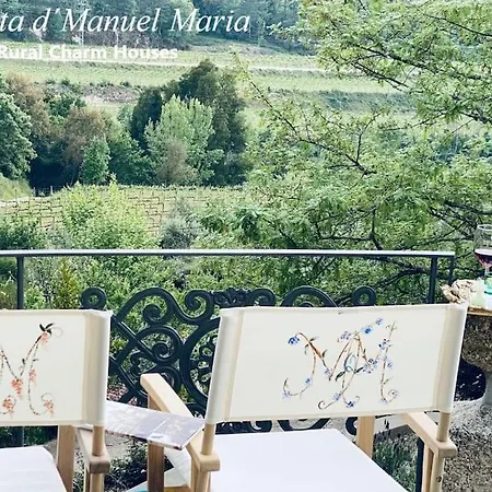 Amarante-quinta D'manuel Maria, Rural Charm 别墅