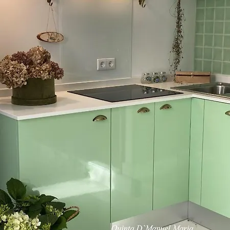 别墅 Amarante-quinta D'manuel Maria, Rural Charm 阿马兰特