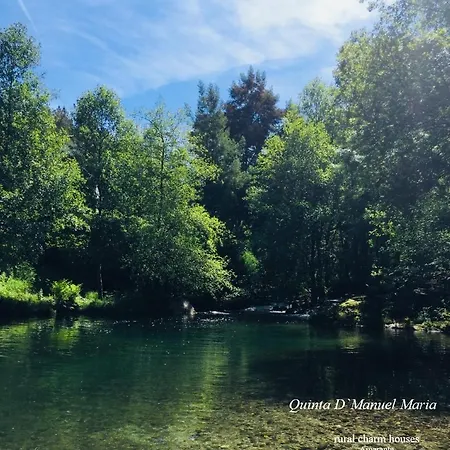 Amarante-quinta D'manuel Maria, Rural Charm 阿马兰特